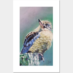 'Kookaburra Ponderings' Posters and Art